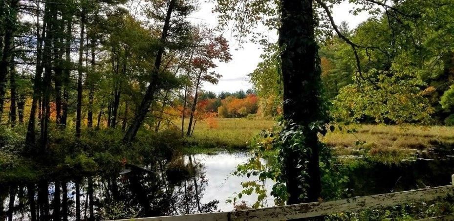 145 Draper Rd, East Brookfield, MA 01515 - Image 3