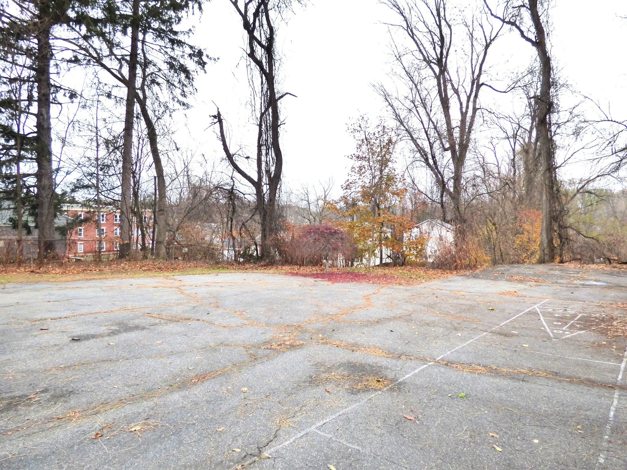 298 Main St, Springfield, MA 01151 - Image 40