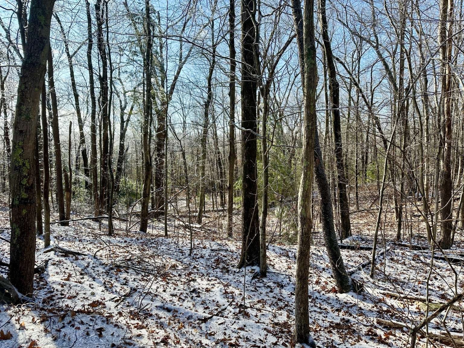 99 Burbank Road Lot 182, Sutton, MA 01590 - Image 1