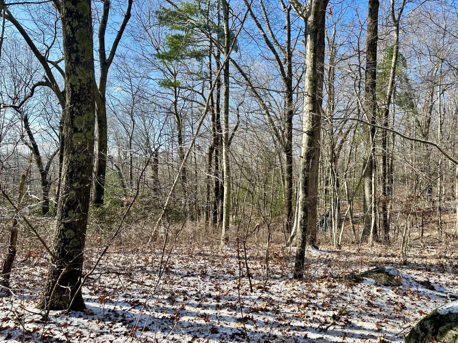 99 Burbank Road Lot 182, Sutton, MA 01590 - Image 2