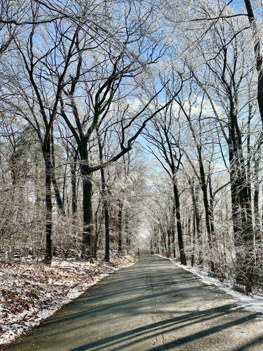 99 Burbank Road Lot 182, Sutton, MA 01590 - Image 5