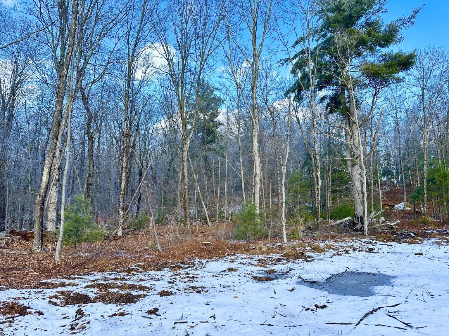 126 Burbank Rd Lot 1, Sutton, MA 01590 - Image 2