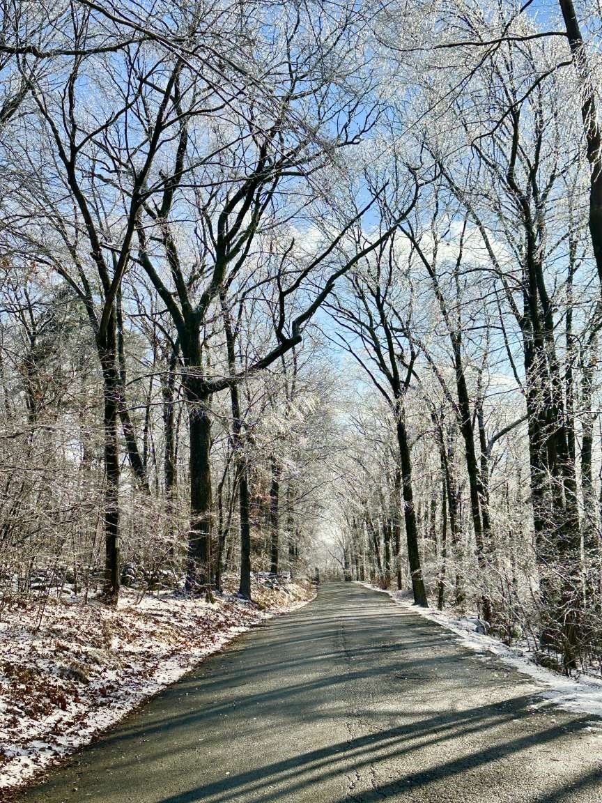 126 Burbank Rd Lot 1, Sutton, MA 01590 - Image 4