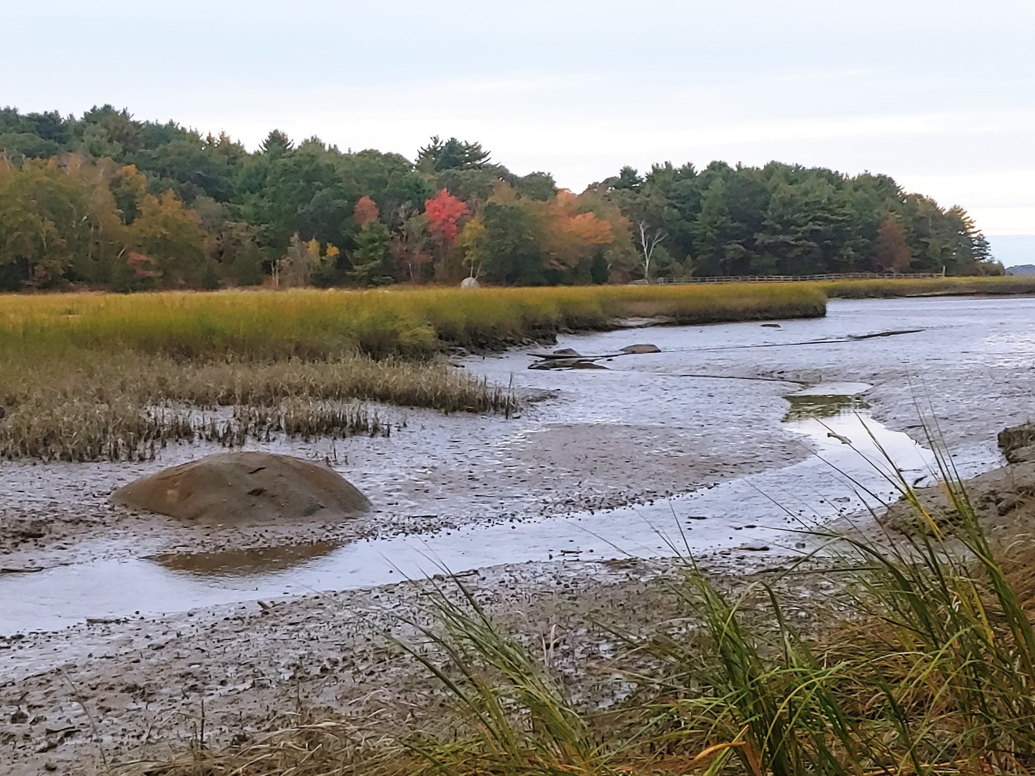 15 Harvard St, Gloucester, MA 01930 - Image 23