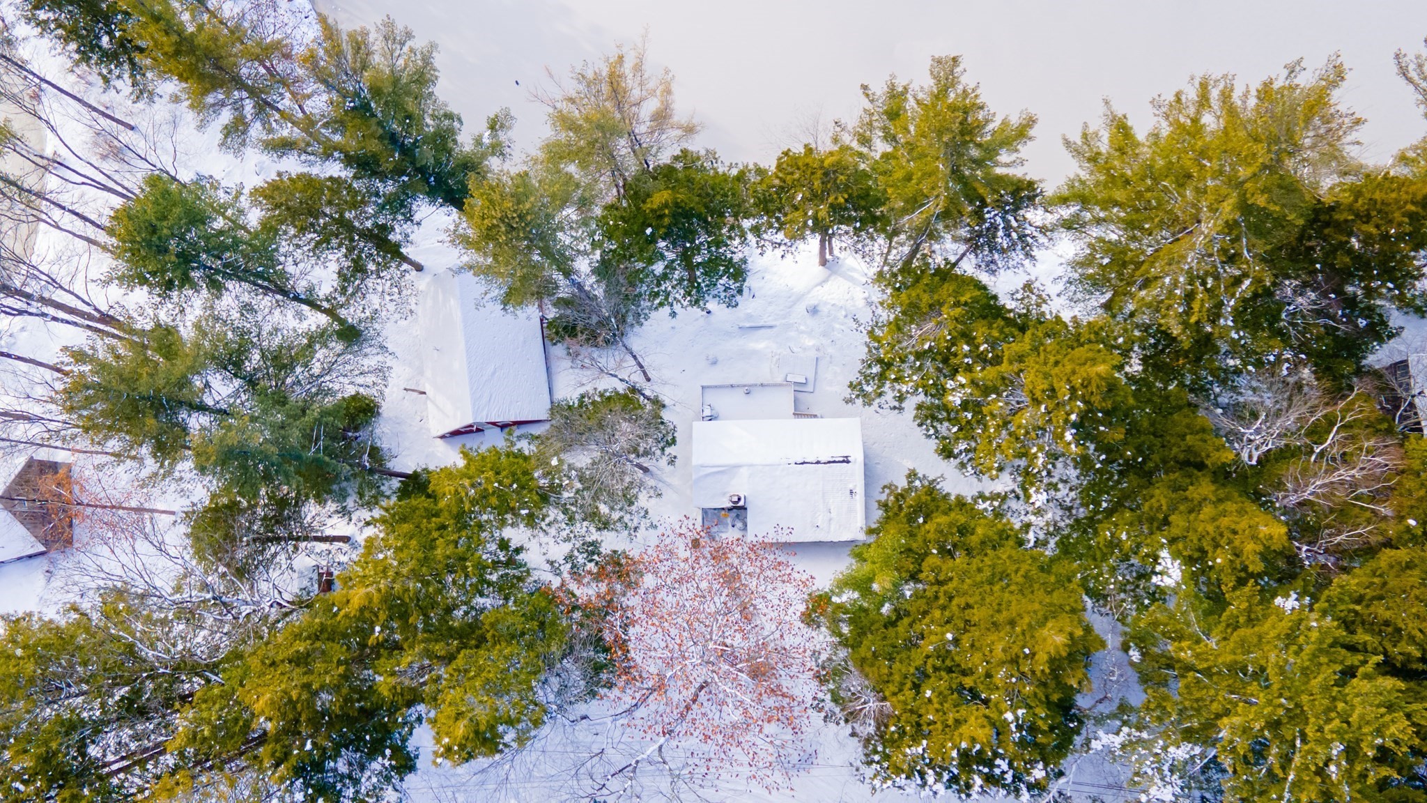 13 Browns Lake Road, Ashburnham, MA 01430 - Image 2