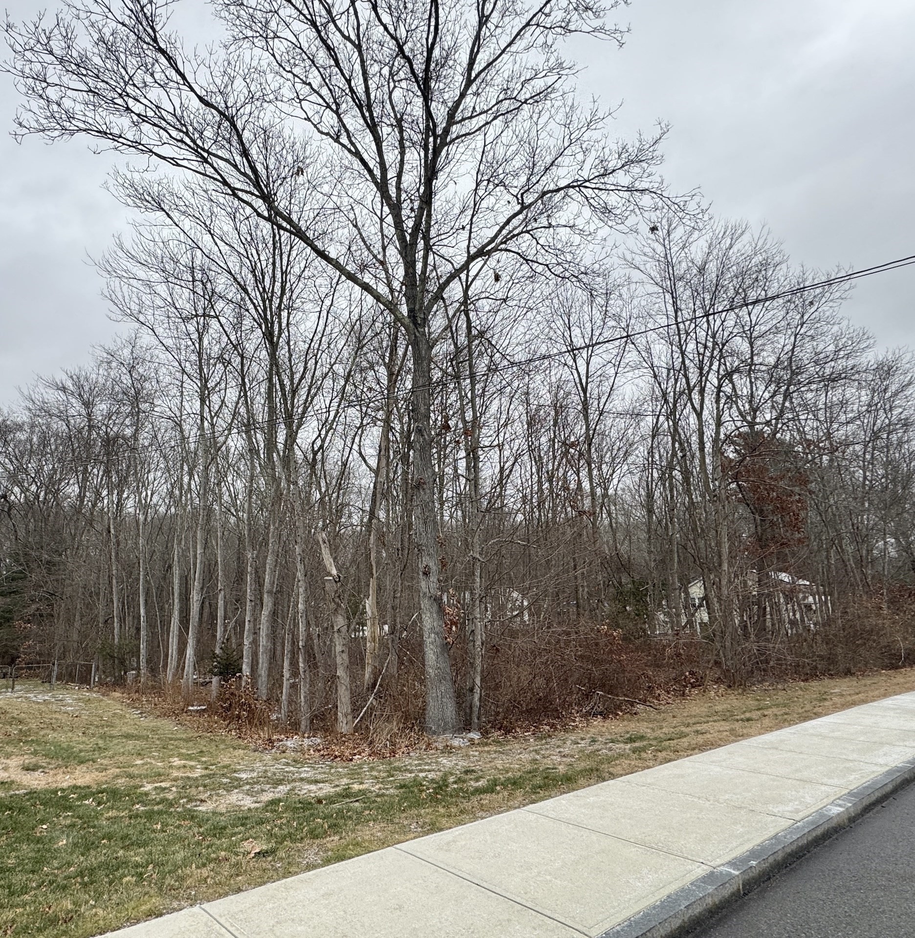 36 Lake Parkway, Webster, MA 01570 - Image 3