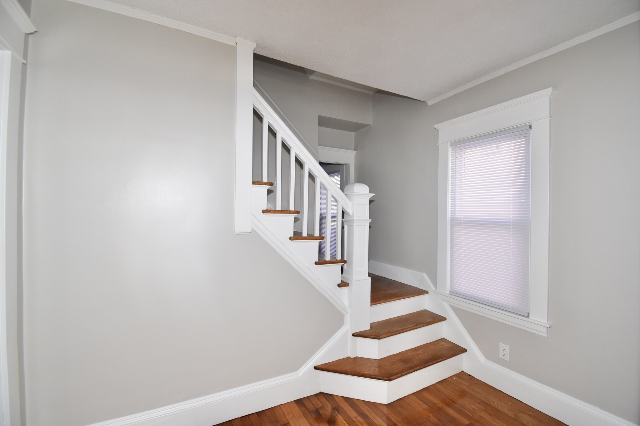 34 Castle St, Springfield, MA 01118 - Image 3