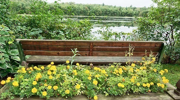 28 Thayer Pond Dr Unit 12, Oxford, MA 01537 - Image 30