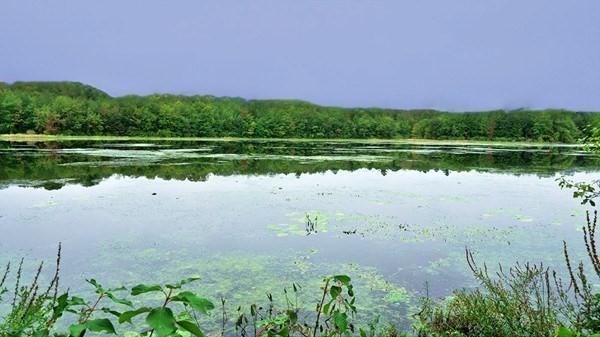 28 Thayer Pond Dr Unit 12, Oxford, MA 01537 - Image 31