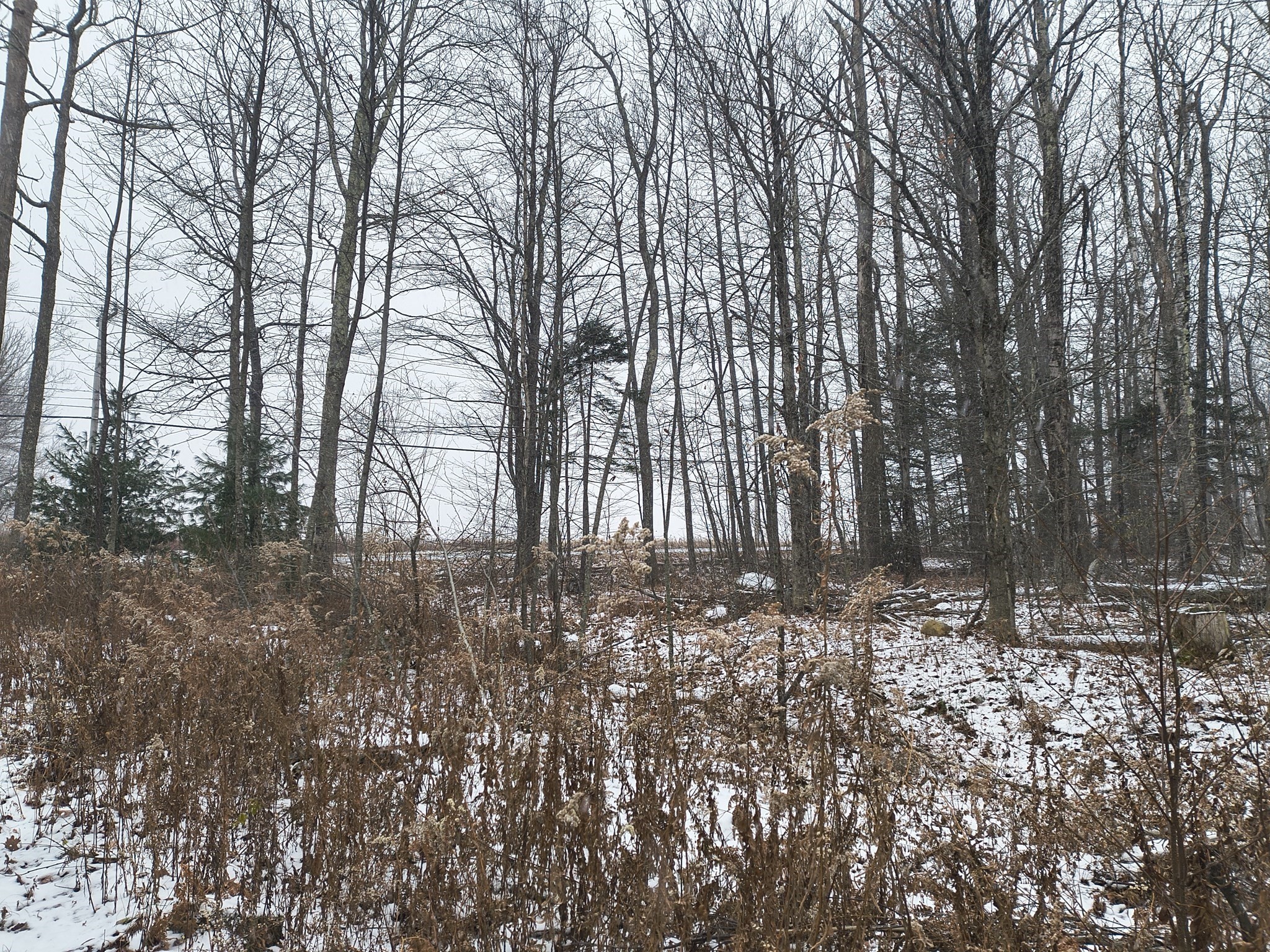 90 Williamsburg Rd, Worthington, MA 01098 - Image 6