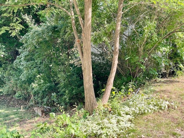 44 Boardman Street,, Worcester, MA 01606 - Image 18