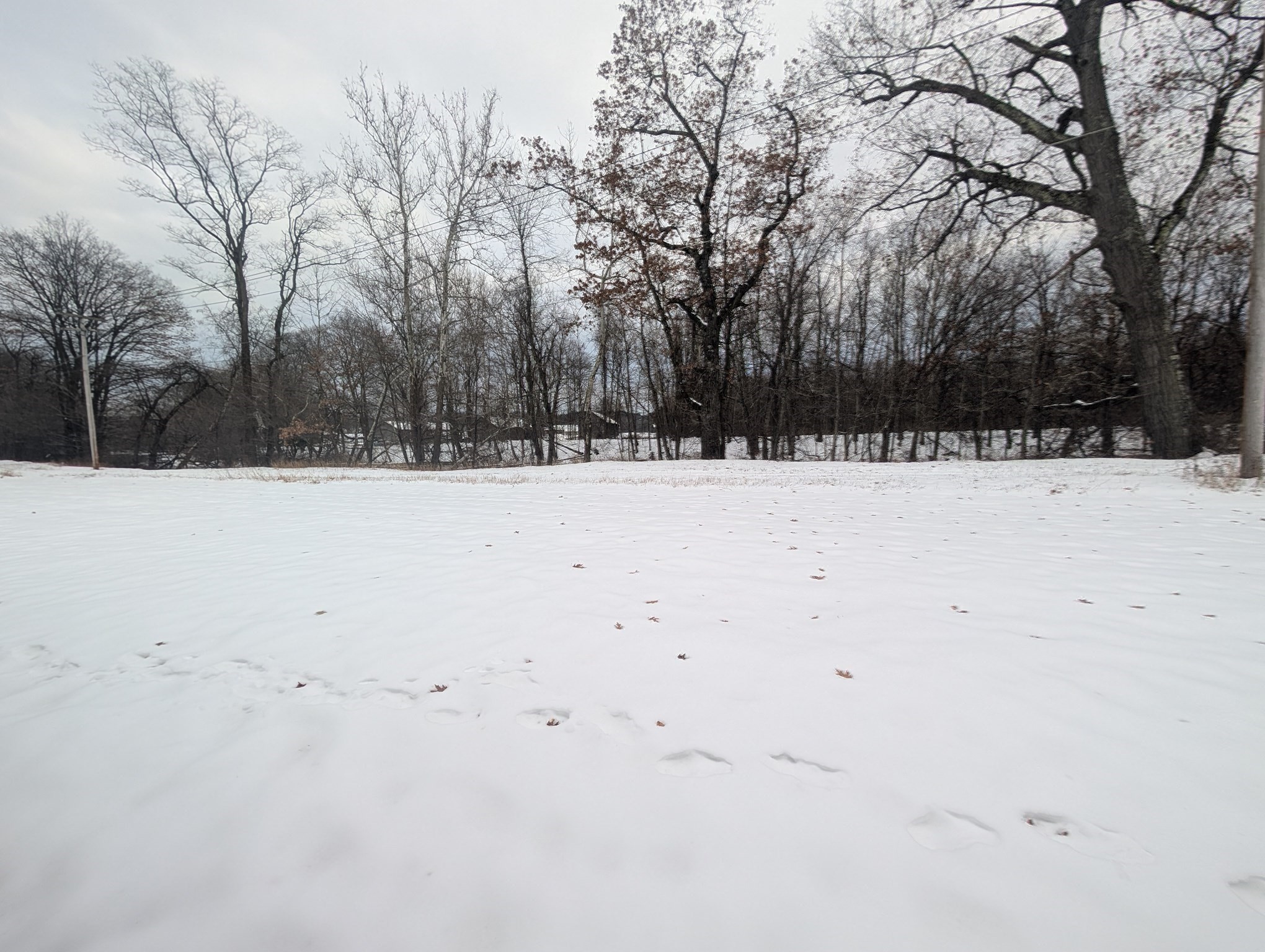 82 S Maple Unit 33, Westfield, MA 01085 - Image 26