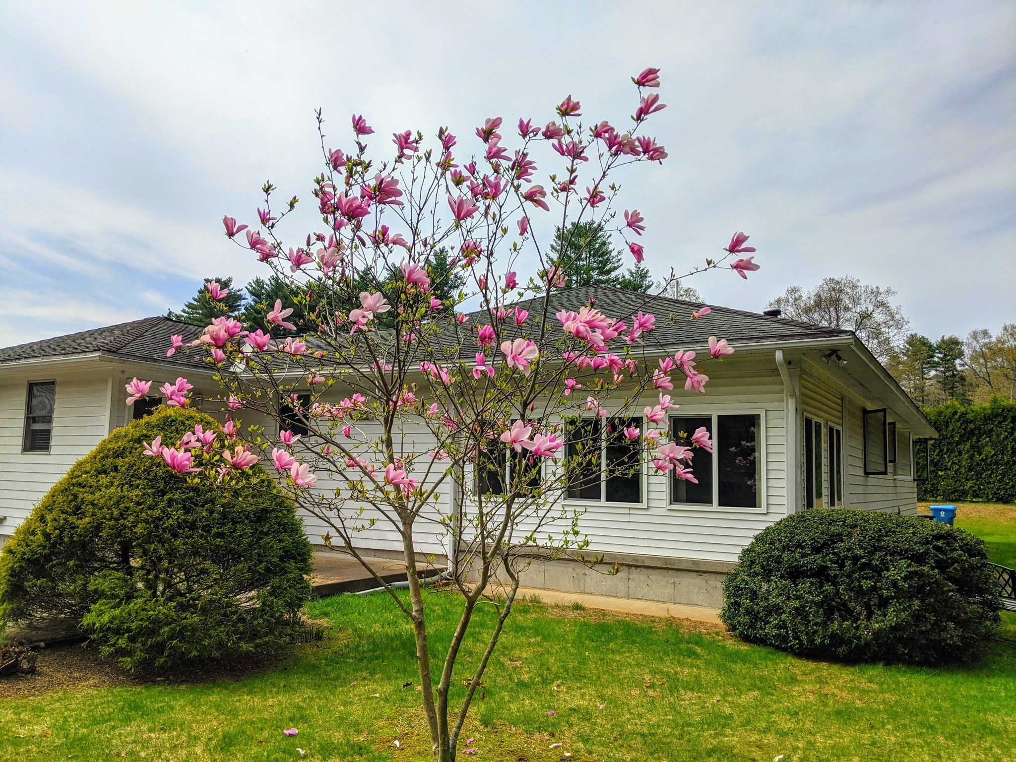 9 Jim Ash Rd, Palmer, MA 01069 - Image 39