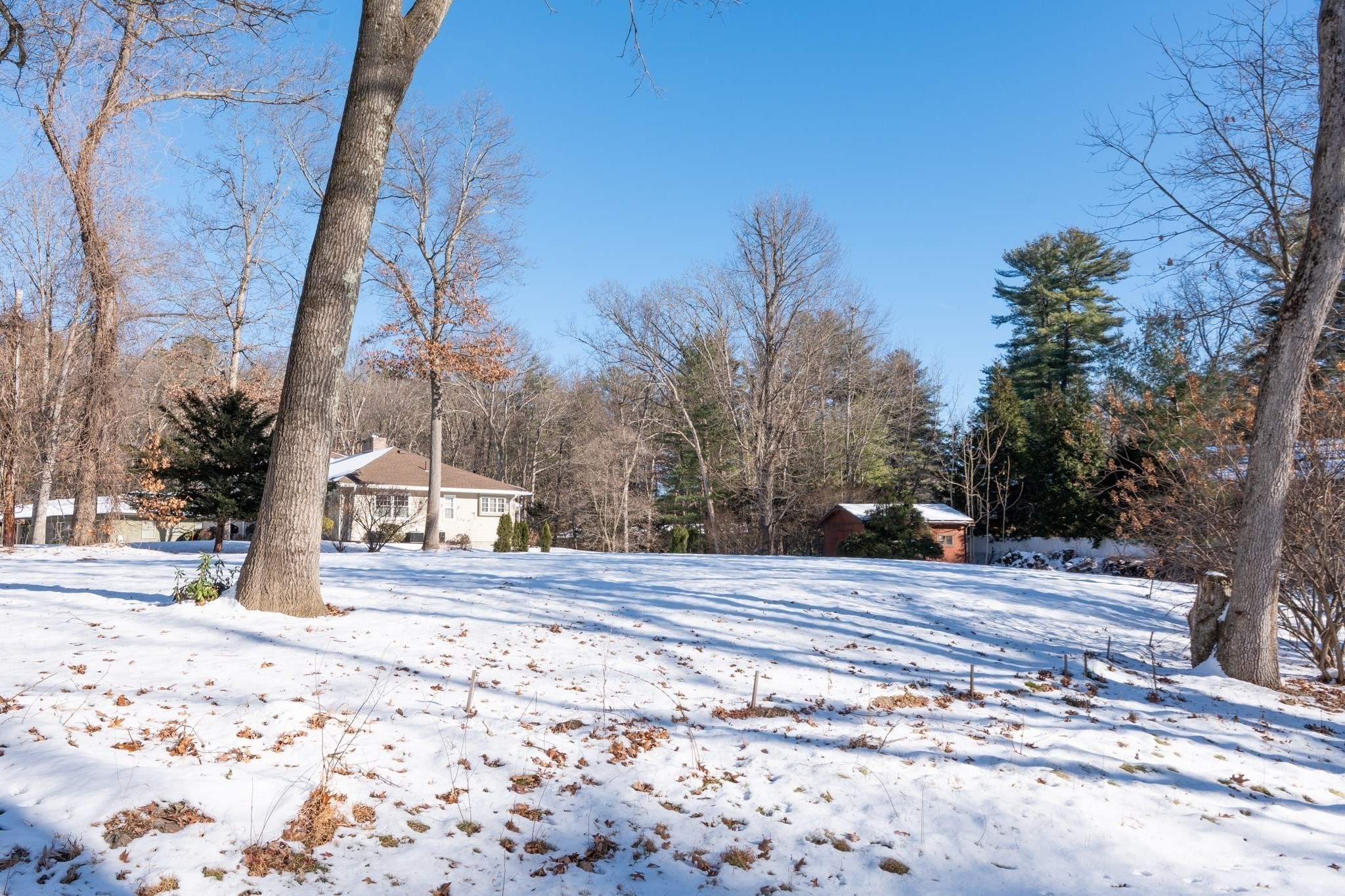 64 Magnolia Cir, Longmeadow, MA 01106 - Image 13