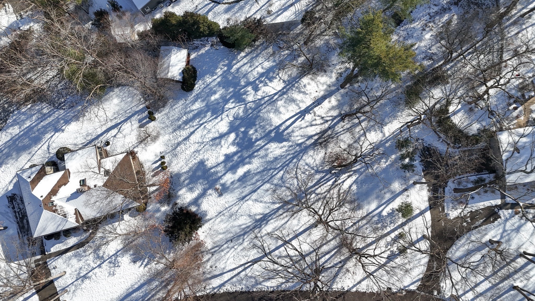 64 Magnolia Cir, Longmeadow, MA 01106 - Image 7