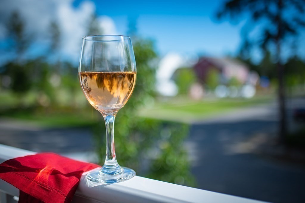 99 Sunflower Way, Plymouth, MA 02360 - Image 15