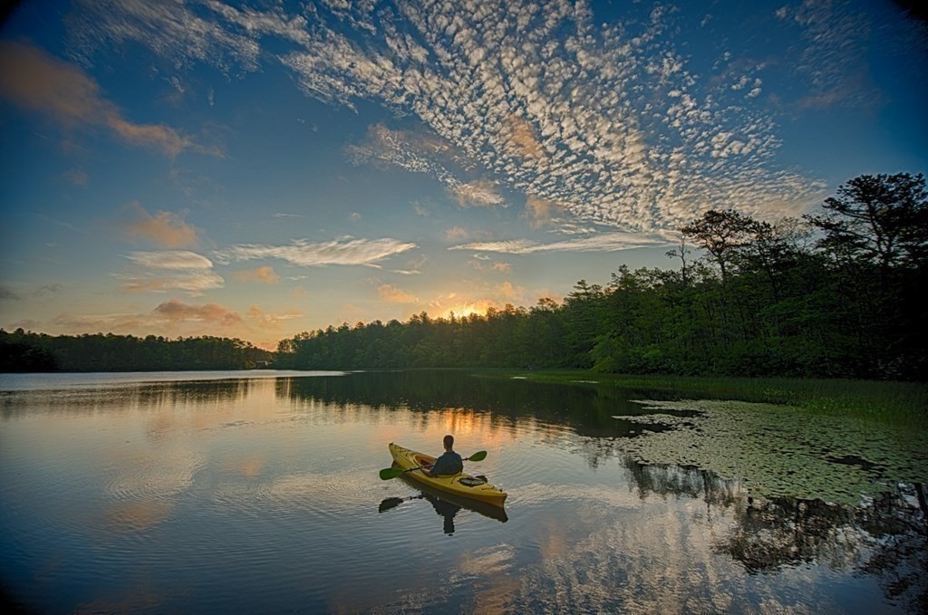 99 Sunflower Way, Plymouth, MA 02360 - Image 18