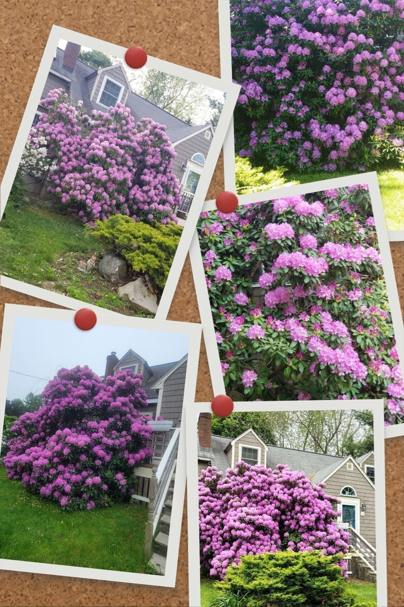 4 Laurel Street, Woburn, MA 01801 - Image 37