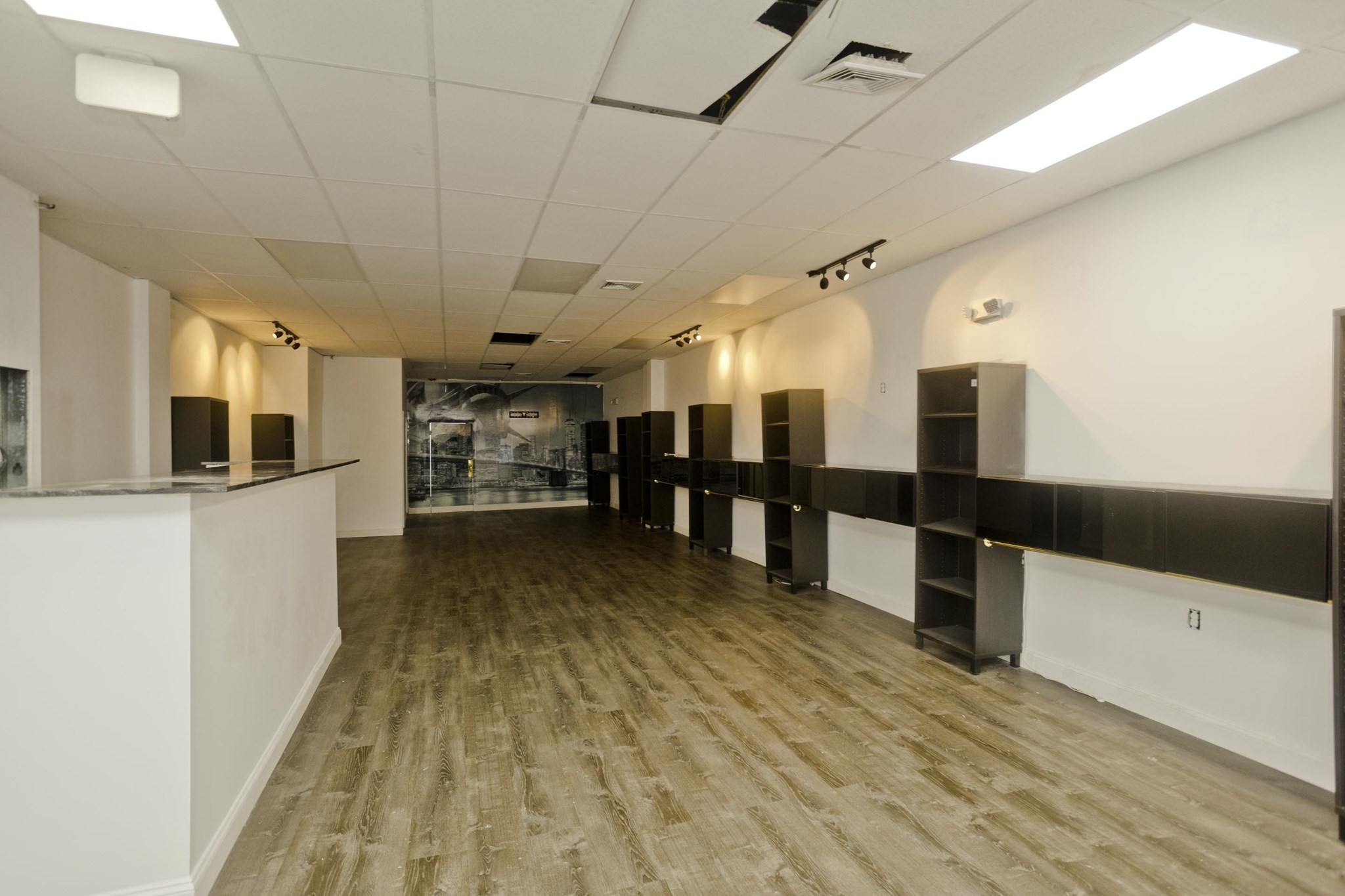 184 Worthington Street, Springfield, MA 01103 - Image 5