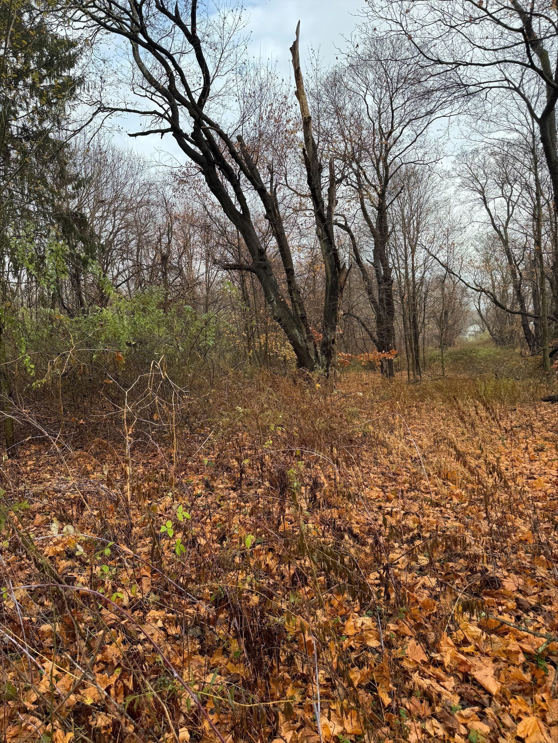 1889 Elm St, Dighton, MA 02715 - Image 4