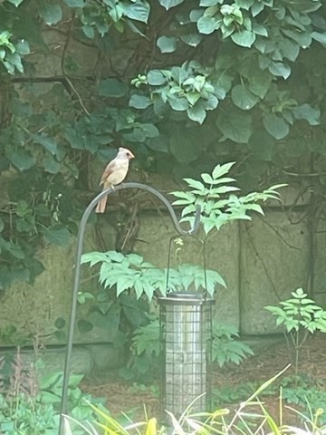 10 Shore Rd, Plymouth, MA 02360 - Image 36