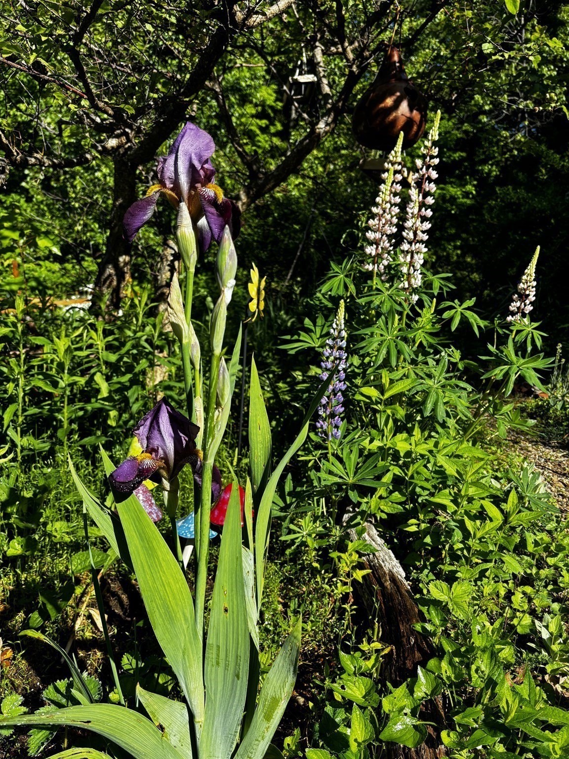 34 Whispering Pine Dr, West Brookfield, MA 01585 - Image 27