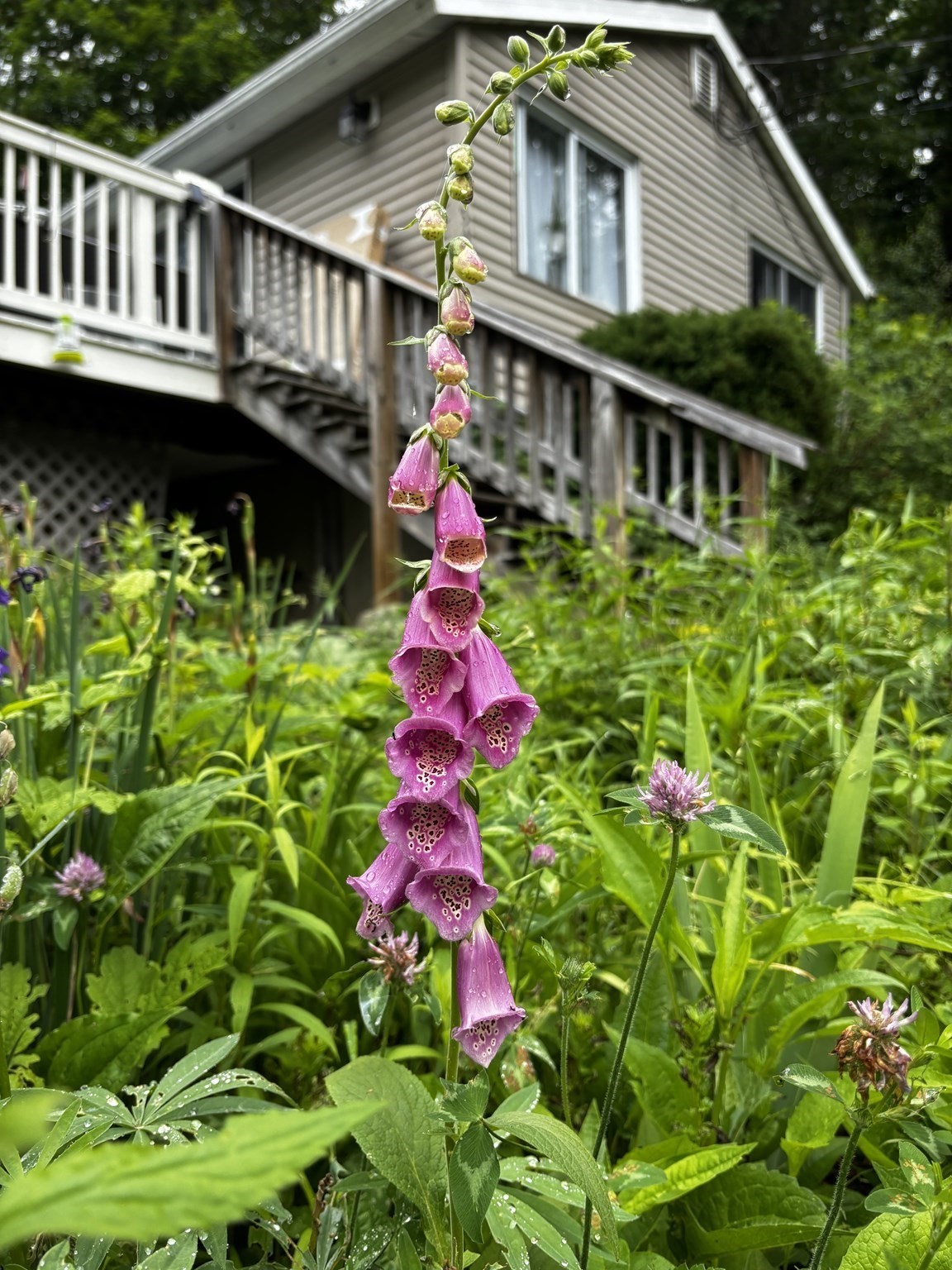 34 Whispering Pine Dr, West Brookfield, MA 01585 - Image 28