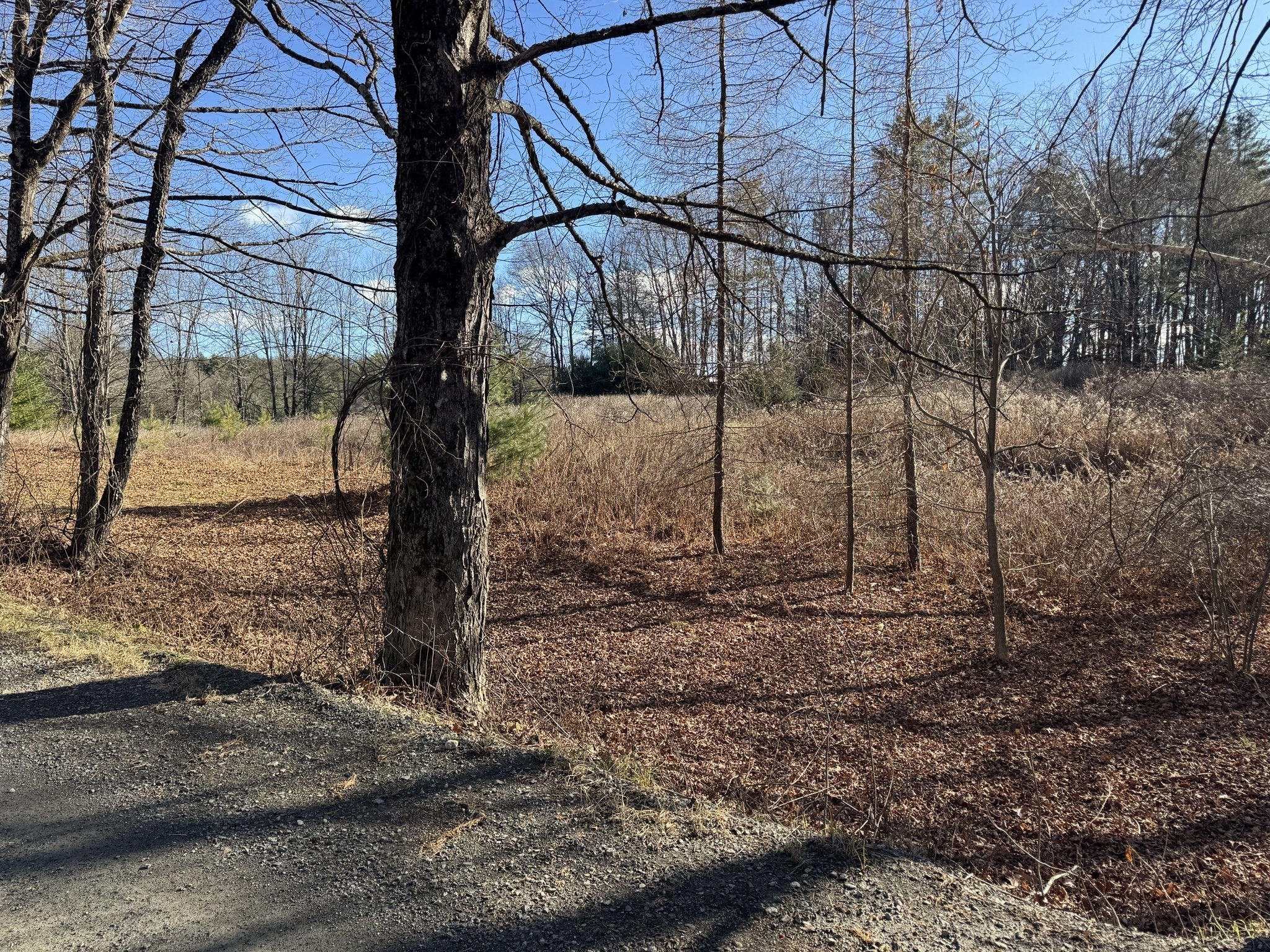 2 Pisgah Mountain Rd, Gill, MA 01354
