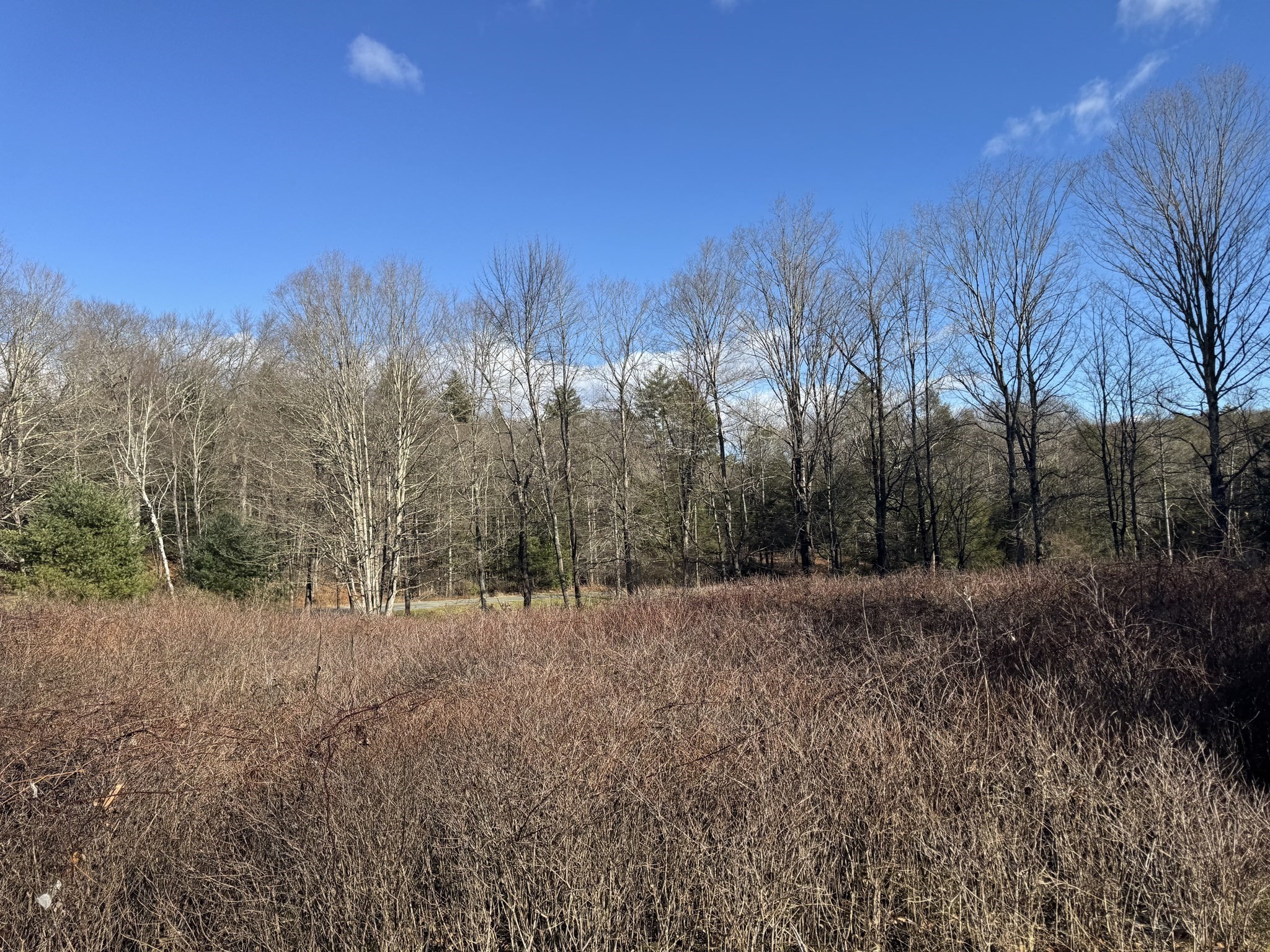 2 Pisgah Mountain Rd, Gill, MA 01354 - Image 4