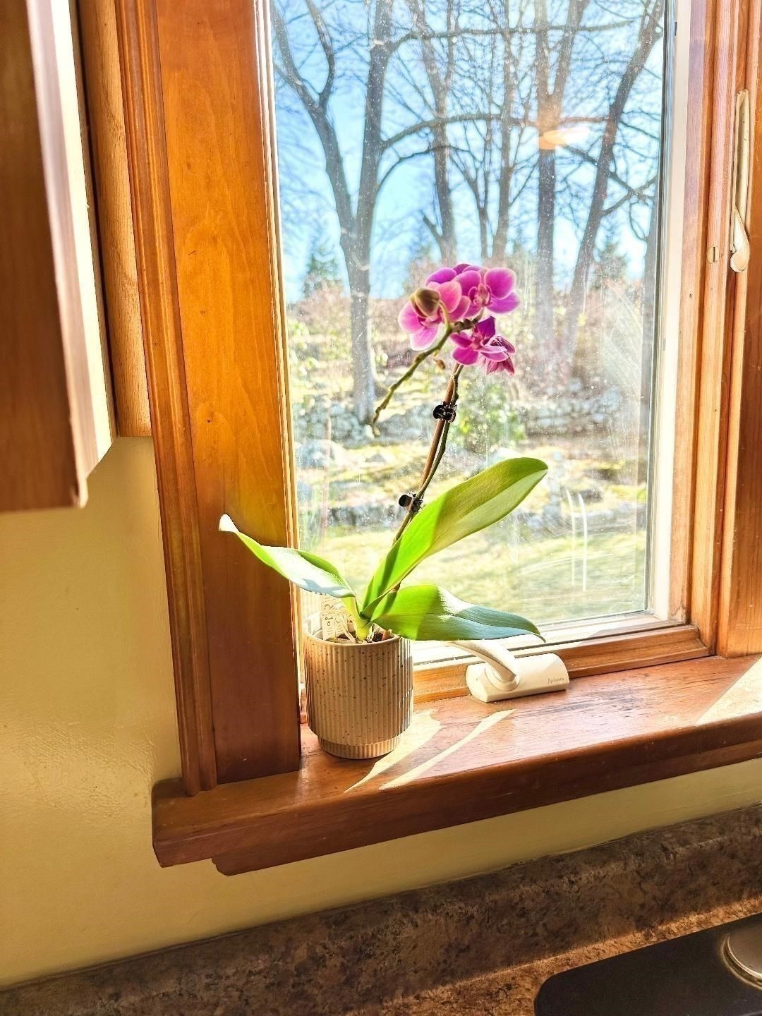 220 Parkland Avenue, Lynn, MA 01905 - Image 14