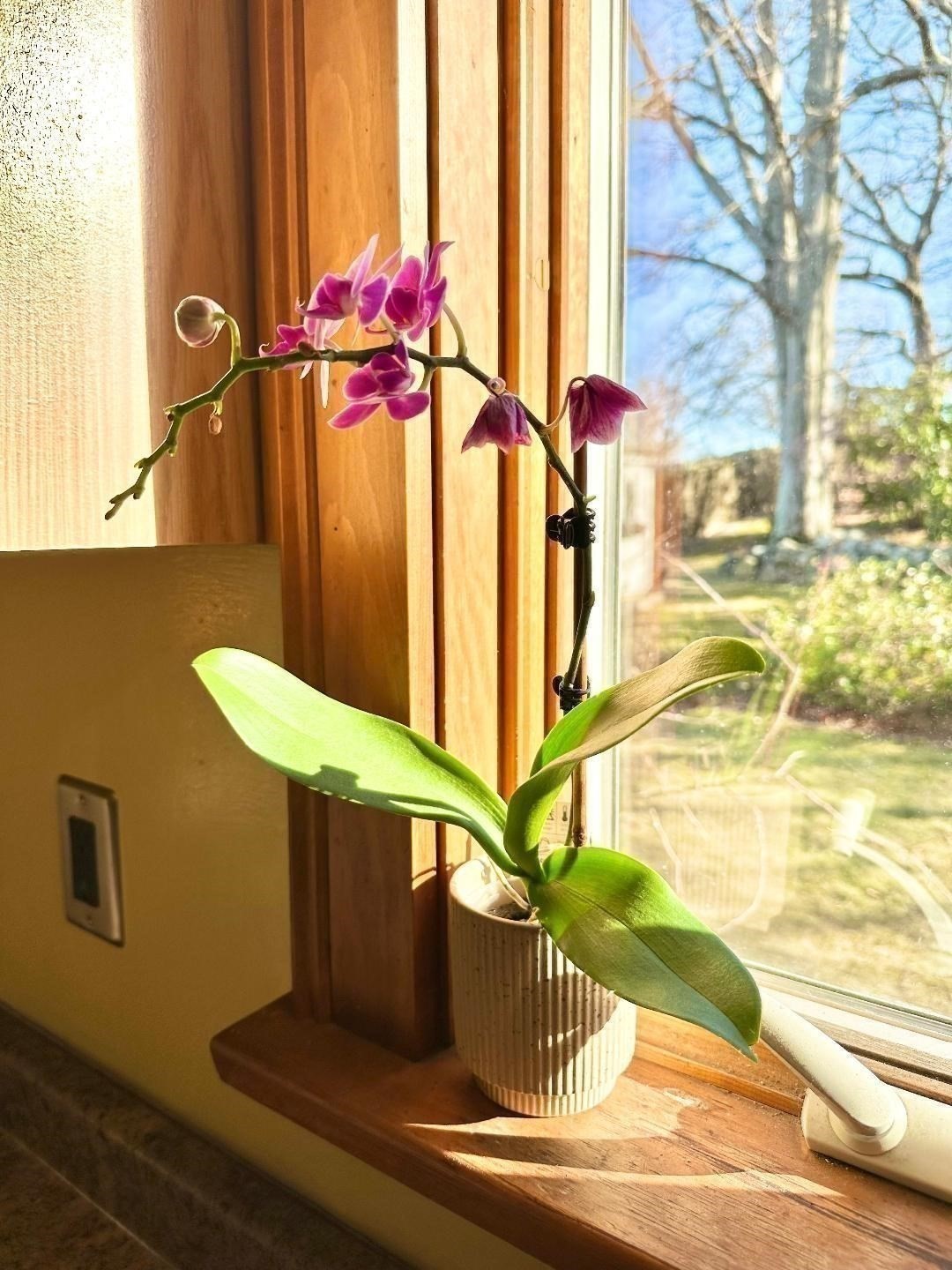 220 Parkland Avenue, Lynn, MA 01905 - Image 15