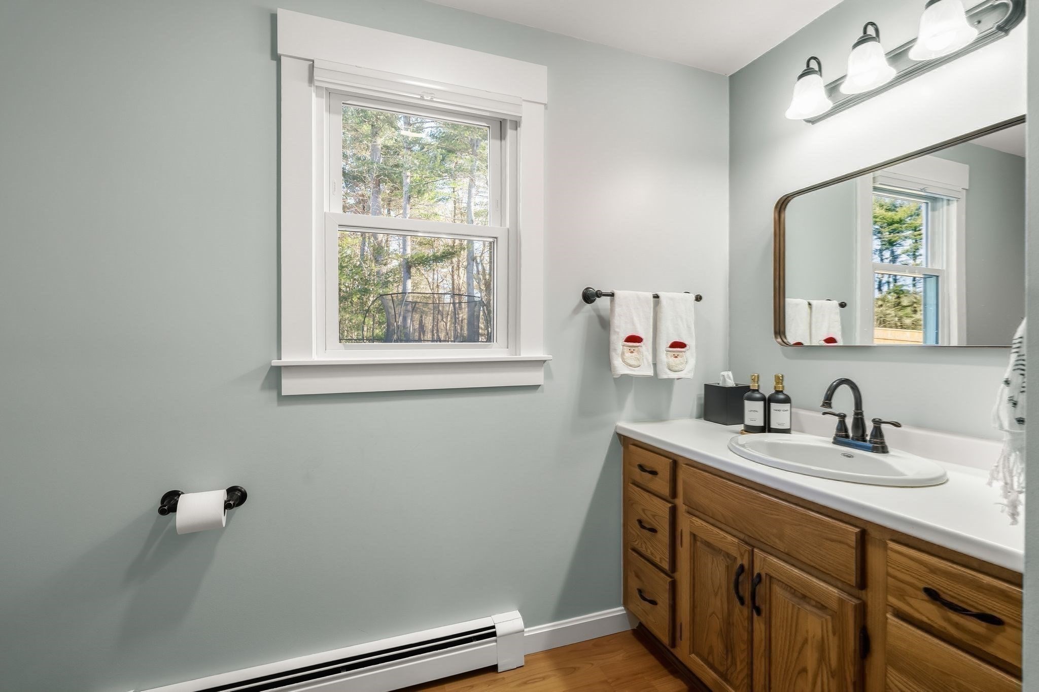 10 Mockingbird Hill, Bridgewater, MA 02324 - Image 11