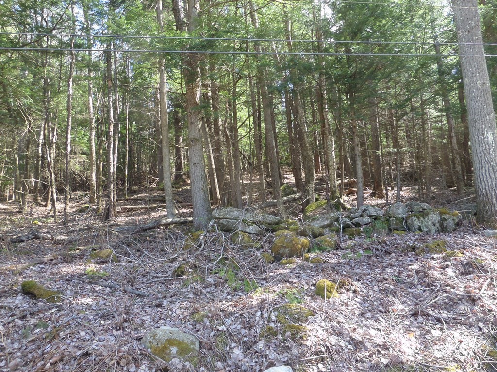 1 Thayer Hill Road, Worthington, MA 01098 - Image 1