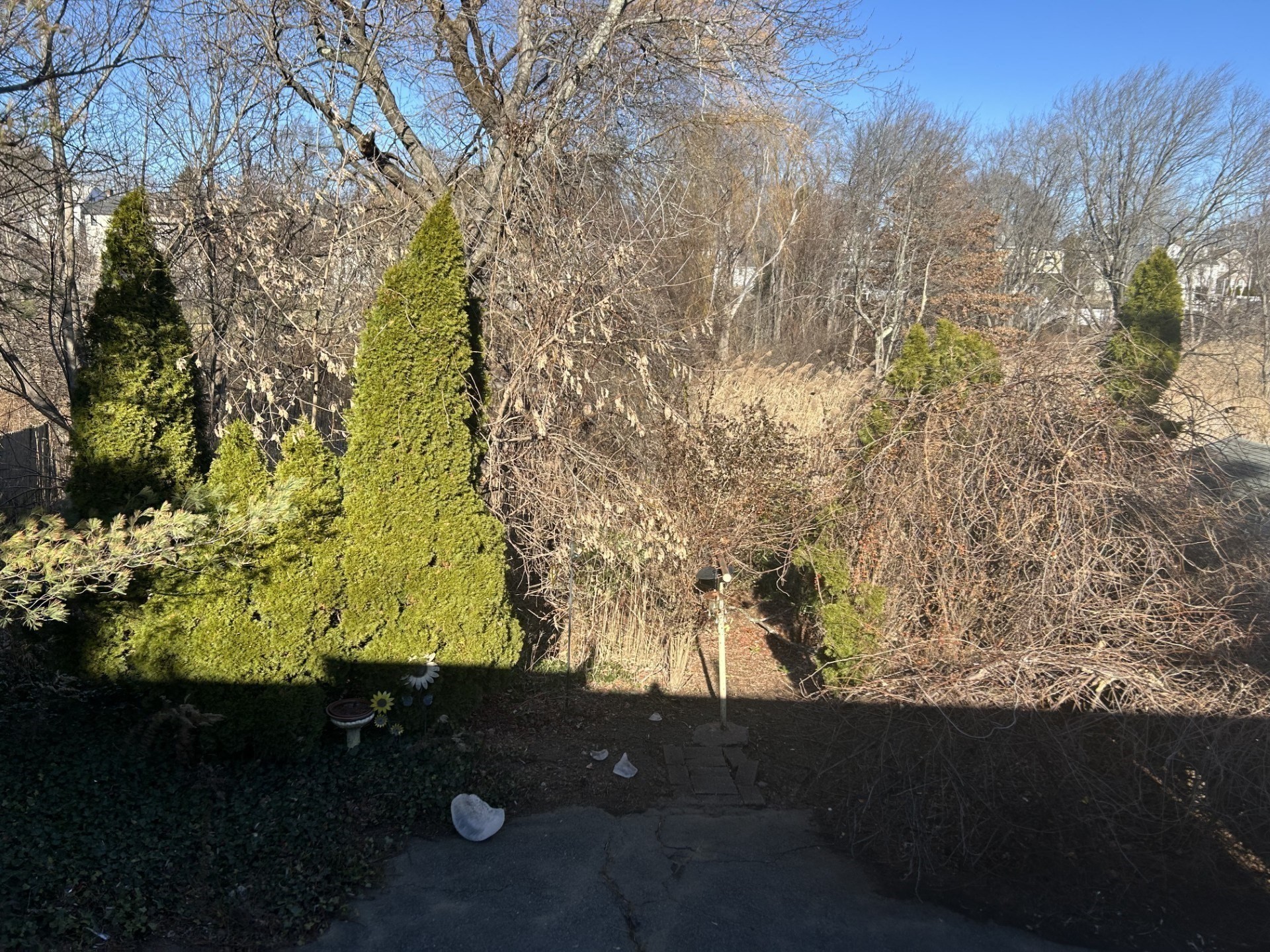 48 Burnett St, Melrose, MA 02176 - Image 8