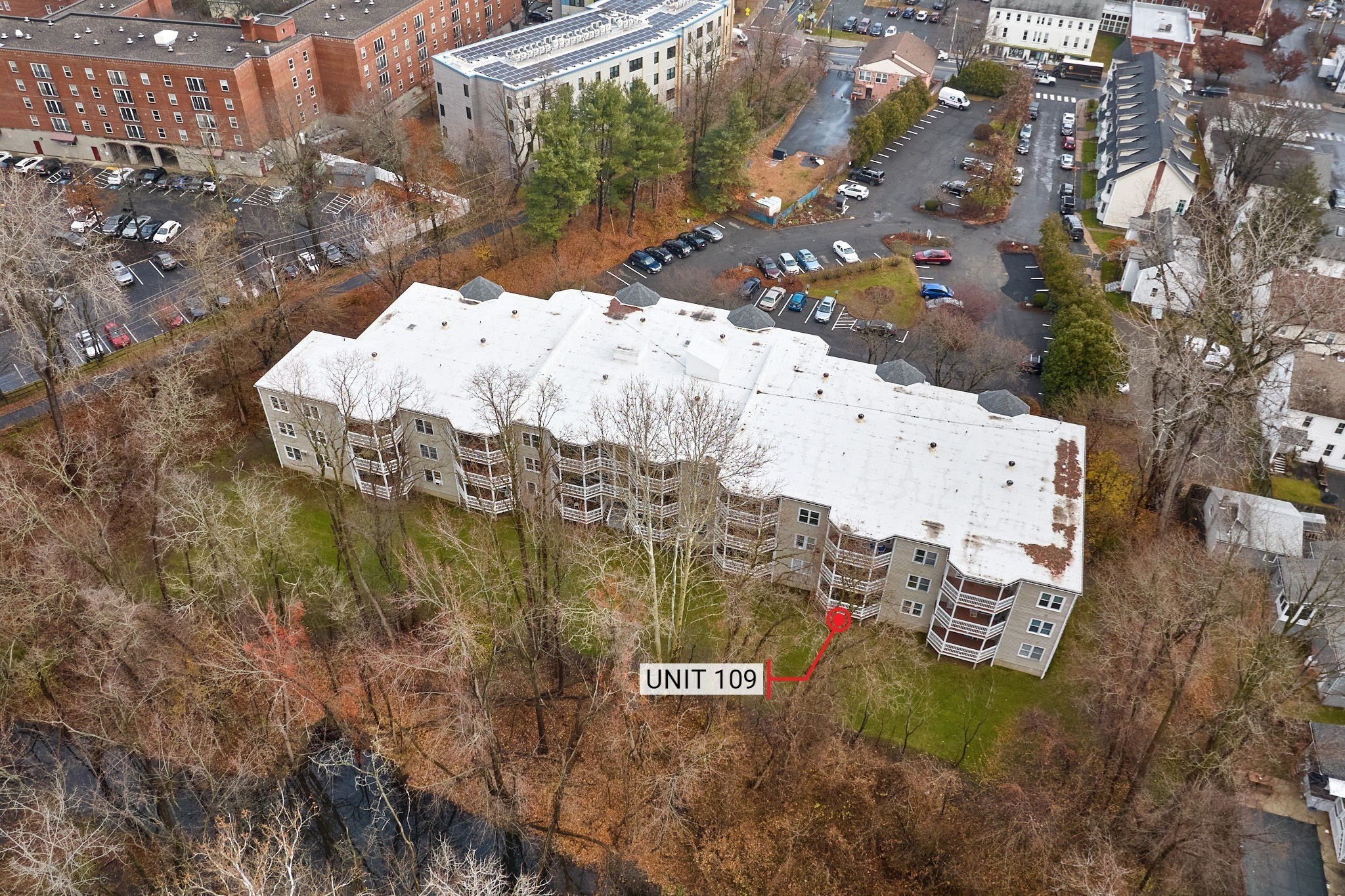 23 Randolph Pl Unit 109, Northampton, MA 01060 - Image 22