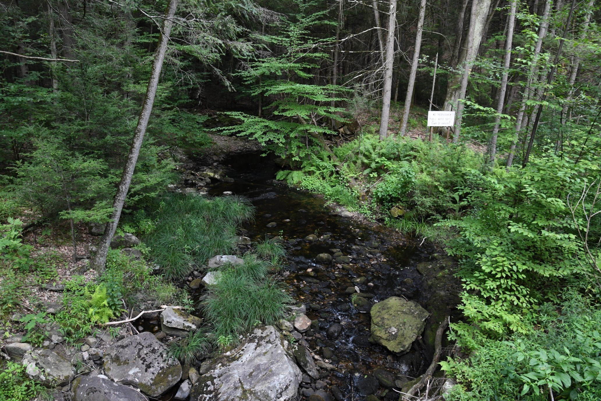 0 Amherst Rd, Pelham, MA 01002 - Image 2