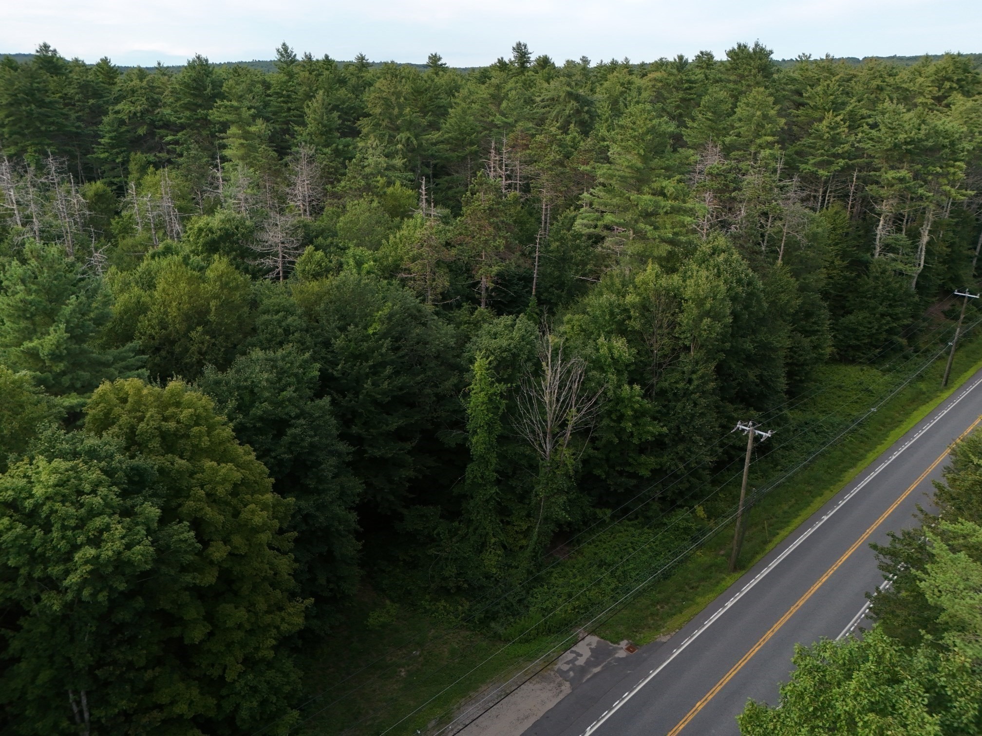 0 Amherst Rd, Pelham, MA 01002 - Image 14