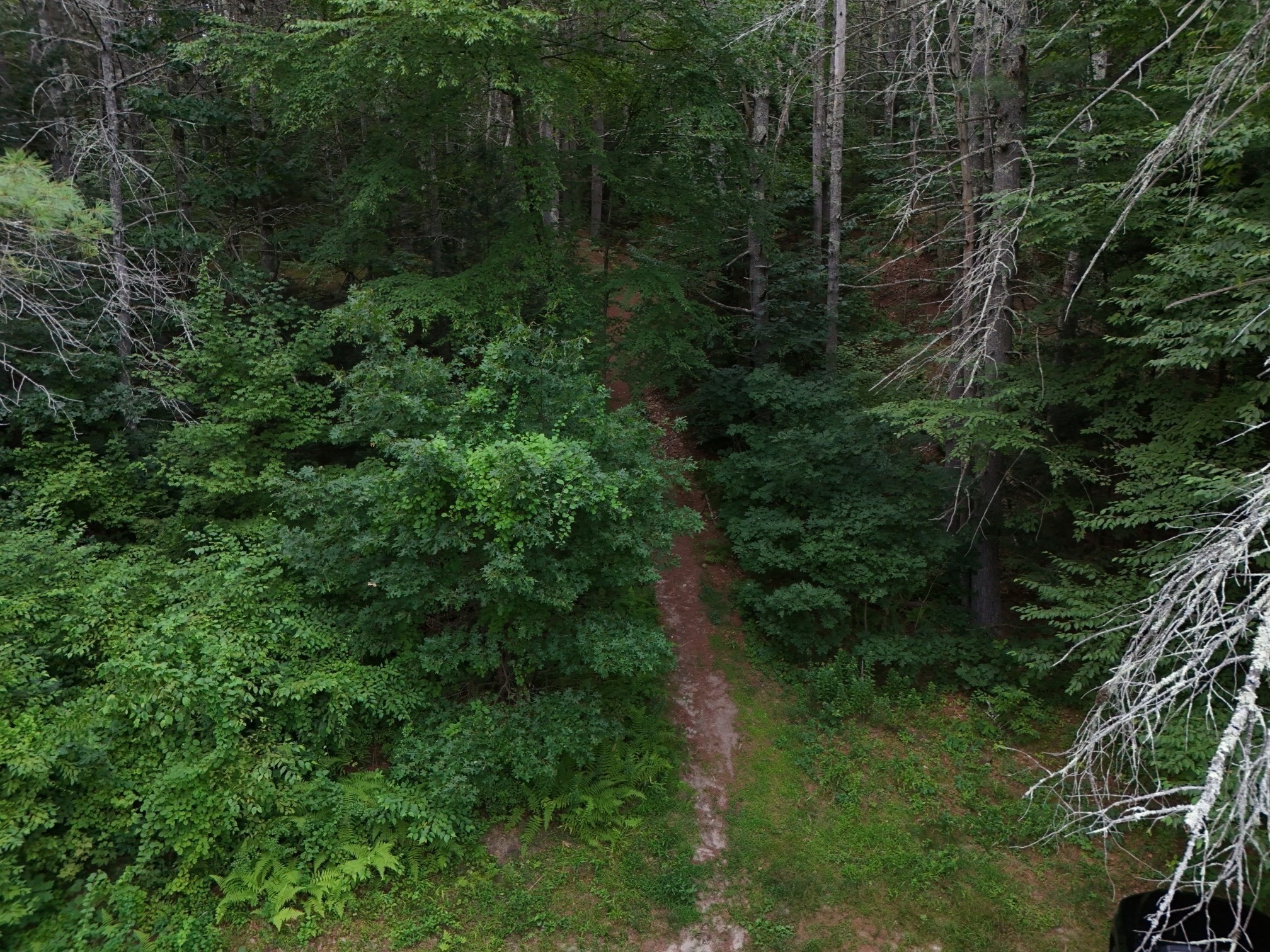 0 Amherst Rd, Pelham, MA 01002 - Image 16