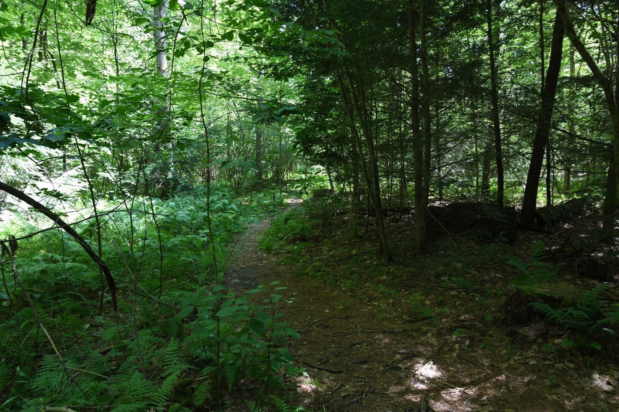 0 Amherst Rd, Pelham, MA 01002 - Image 17