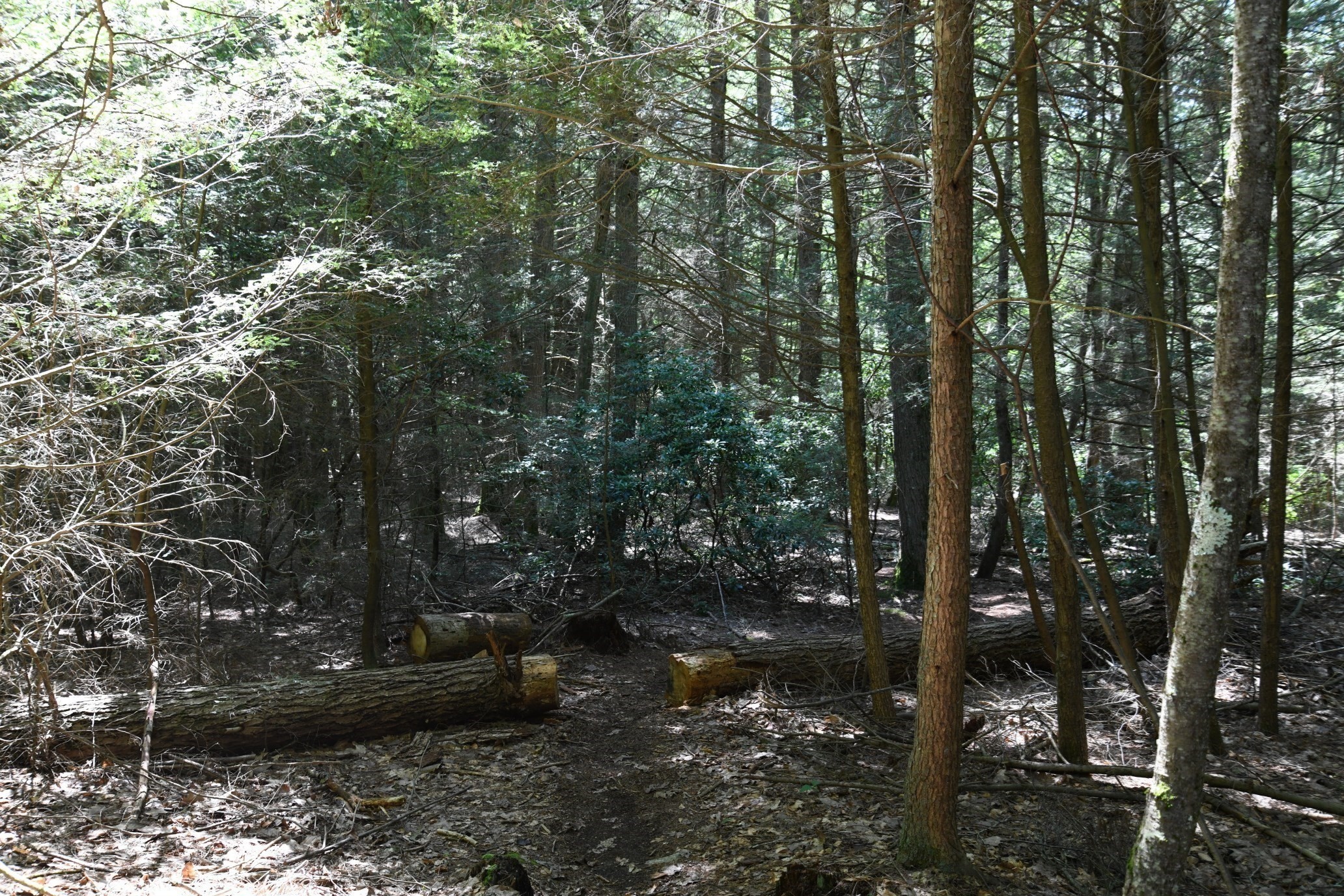 0 Amherst Rd, Pelham, MA 01002 - Image 19