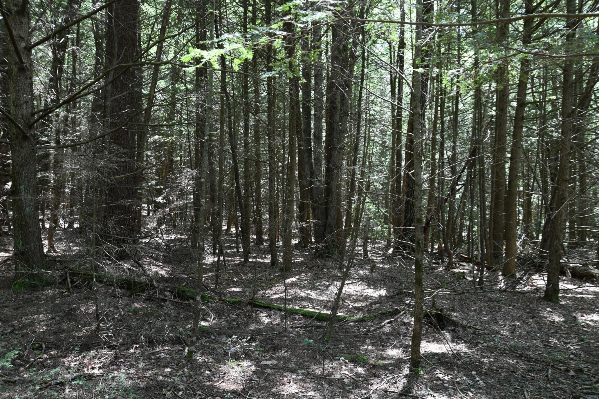 0 Amherst Rd, Pelham, MA 01002 - Image 20