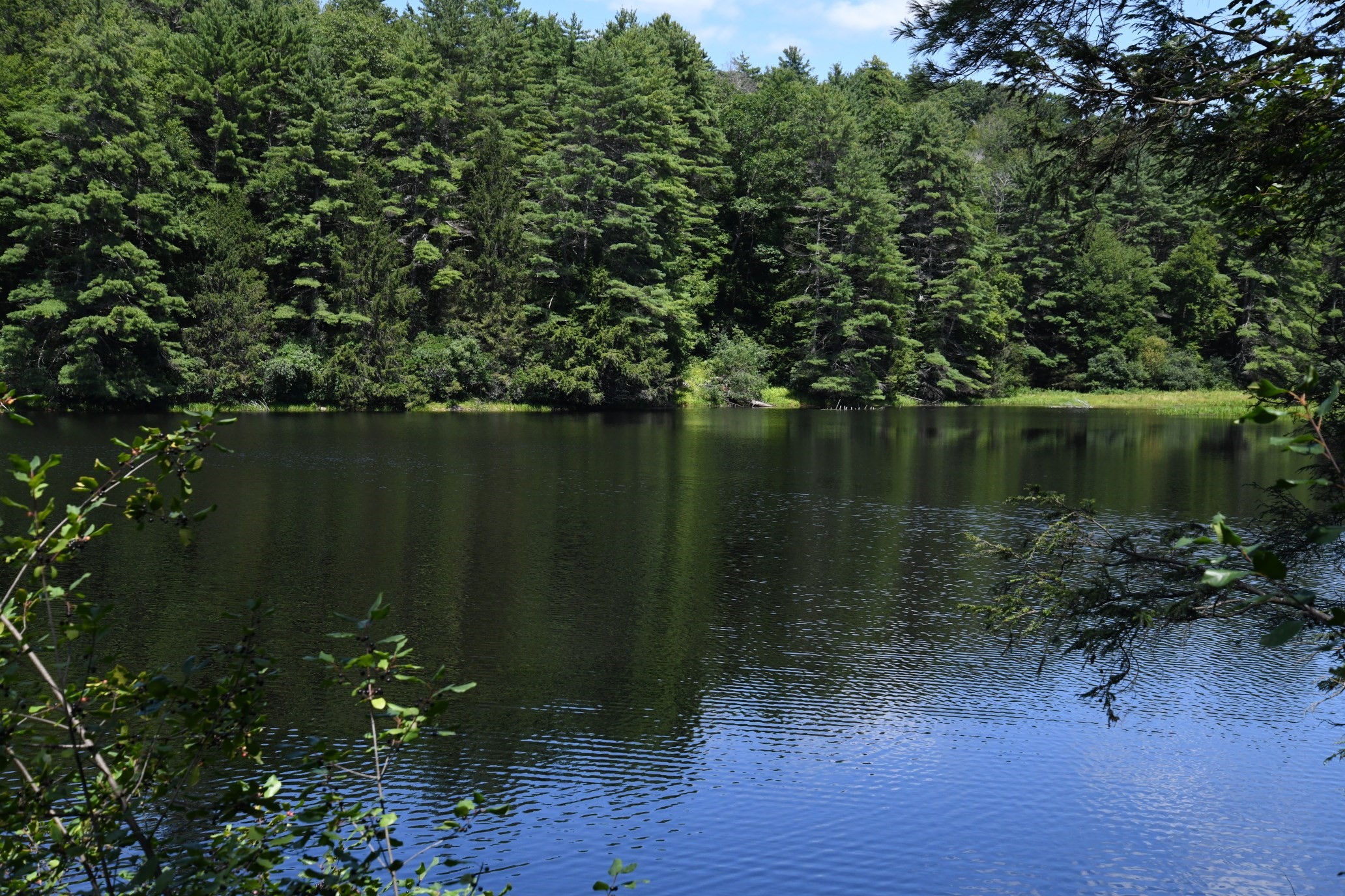 0 Amherst Rd, Pelham, MA 01002 - Image 3