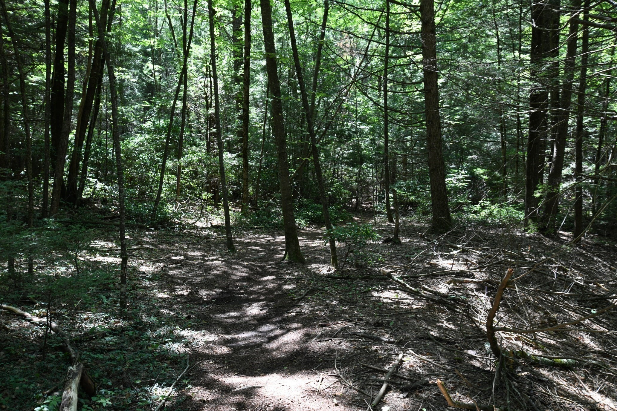 0 Amherst Rd, Pelham, MA 01002 - Image 21