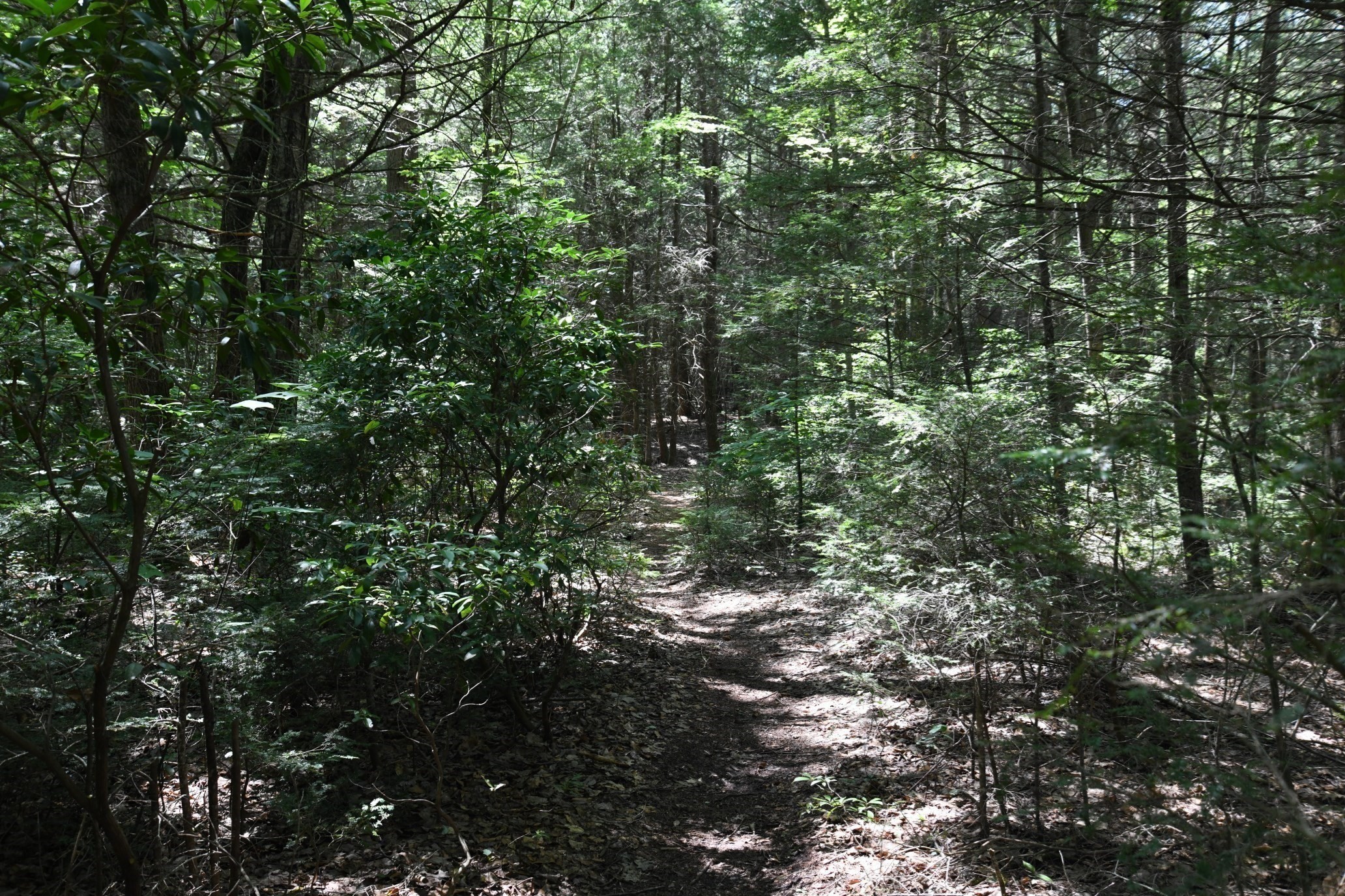 0 Amherst Rd, Pelham, MA 01002 - Image 22