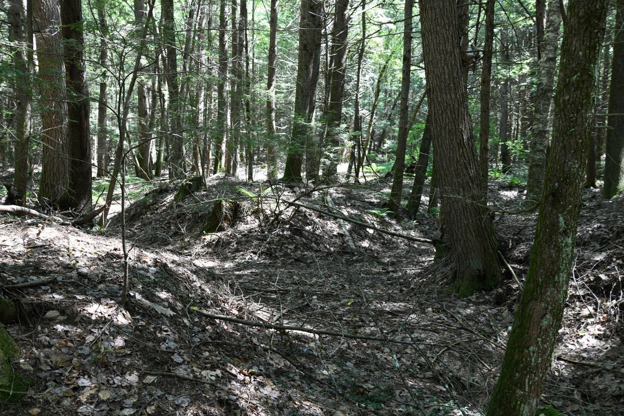 0 Amherst Rd, Pelham, MA 01002 - Image 23