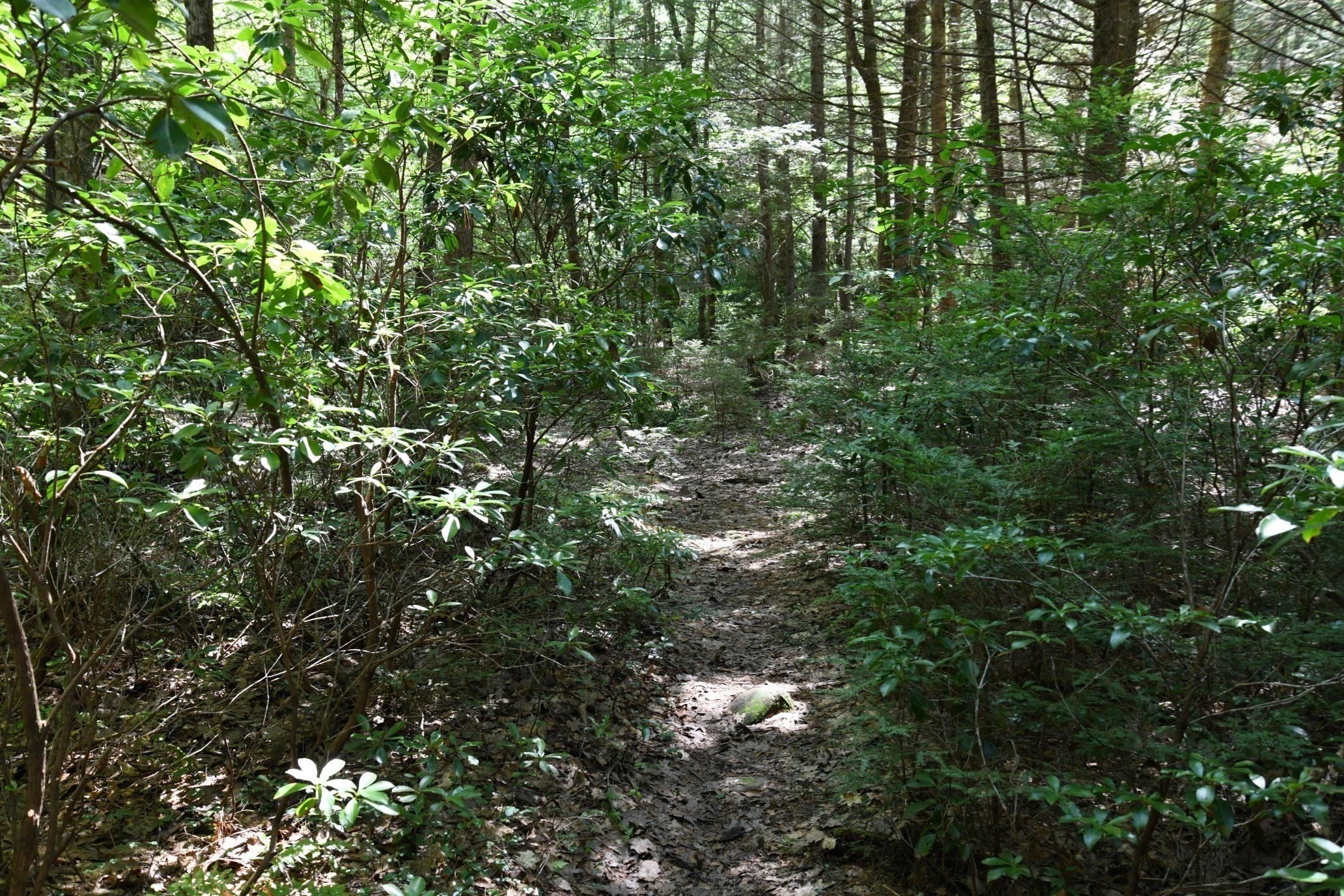 0 Amherst Rd, Pelham, MA 01002 - Image 24