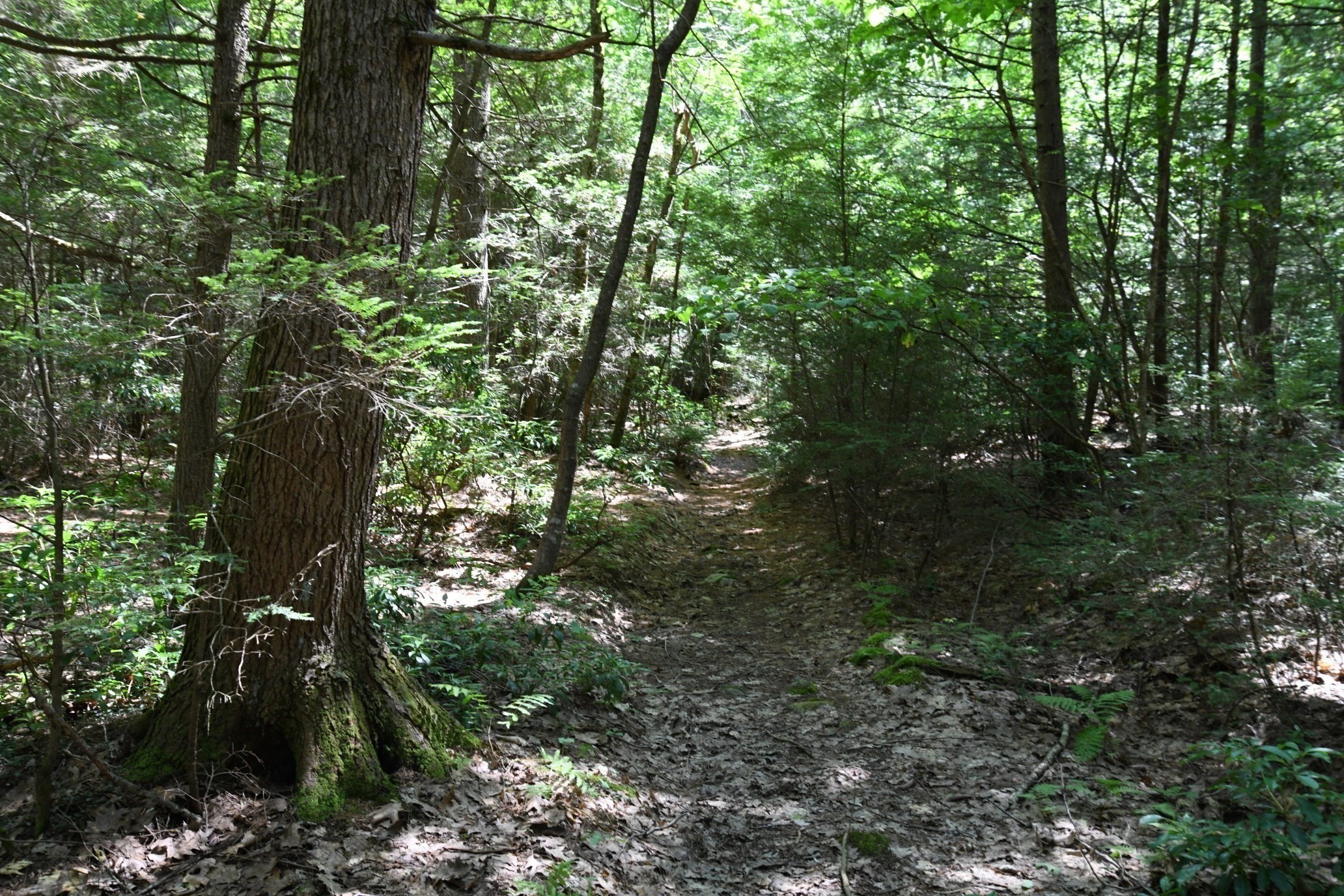 0 Amherst Rd, Pelham, MA 01002 - Image 27