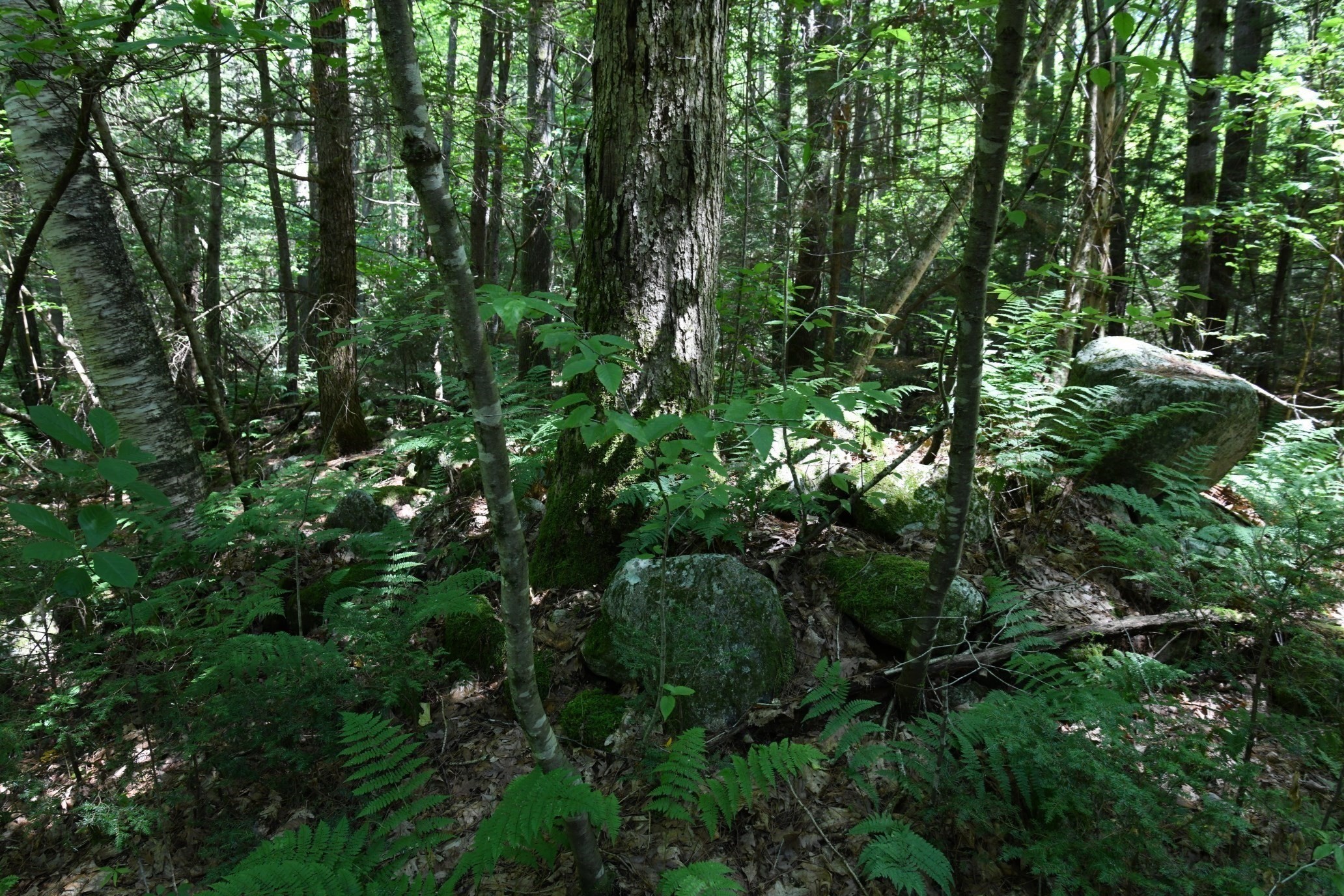 0 Amherst Rd, Pelham, MA 01002 - Image 28