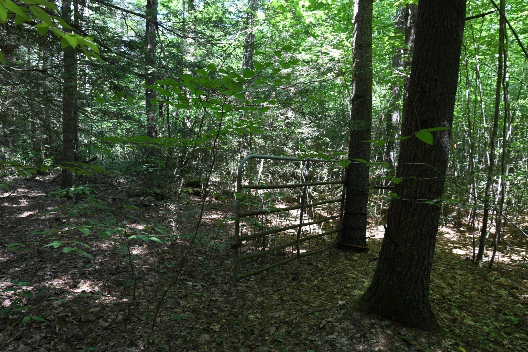 0 Amherst Rd, Pelham, MA 01002 - Image 29