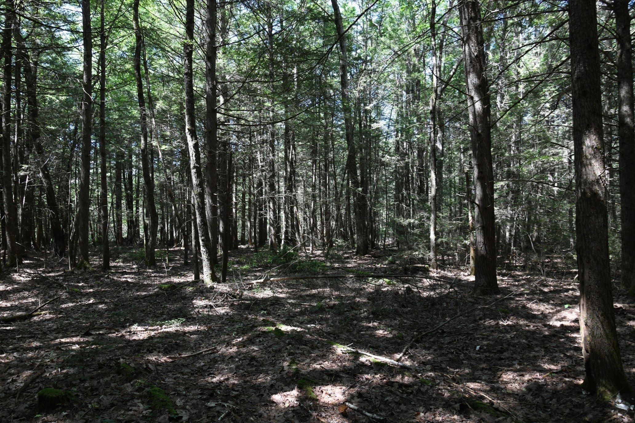 0 Amherst Rd, Pelham, MA 01002 - Image 30